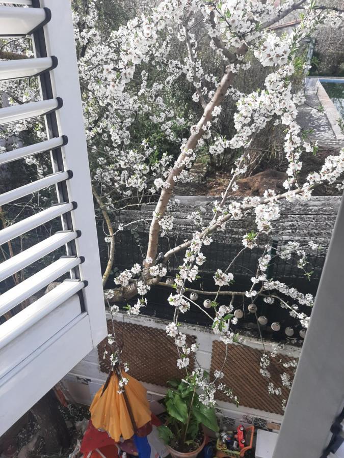 Baldissera Estella Ngoại thất bức ảnh